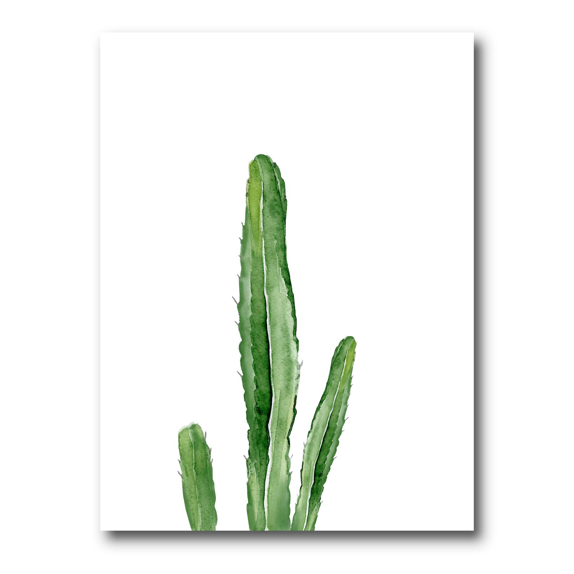Designart - Green Cactus South Western Plant Botanical Detail